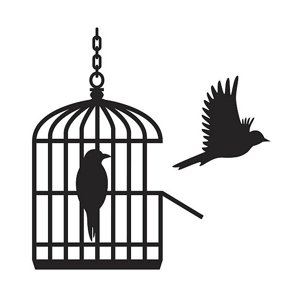 Wooden Birds In Open Birdcage Wall Sticker